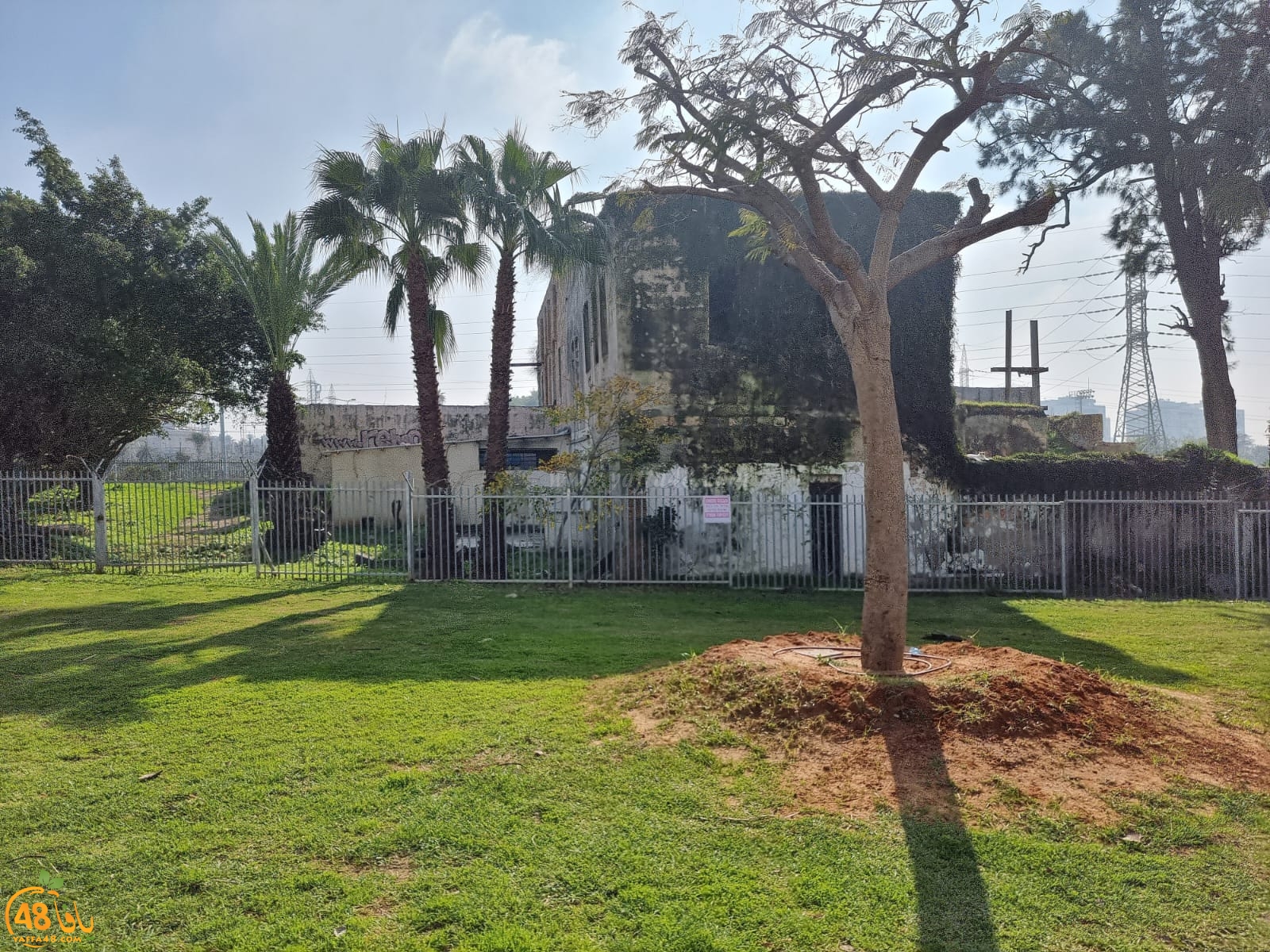 WhatsApp Image 2022-01-08 at 1.30.01 PM.jpg